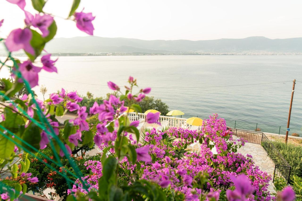 Villa Fjaba - By The Sea - With The Big Terraces & Great Sea View Трогір Екстер'єр фото